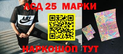 spice Камышлов